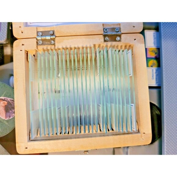 Microscope Set 300X 600X 1200X Science AmScope 25 Prepared Slides Case - Picture 11 of 12